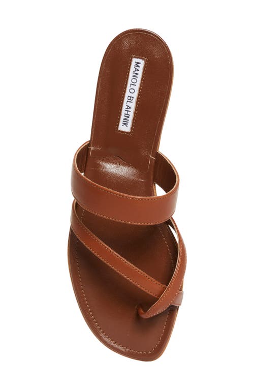 Shop Manolo Blahnik Susa Sandal In Brown