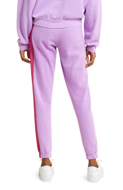 Aviator Nation Stripe Sweatpants In Neon Purple/pink