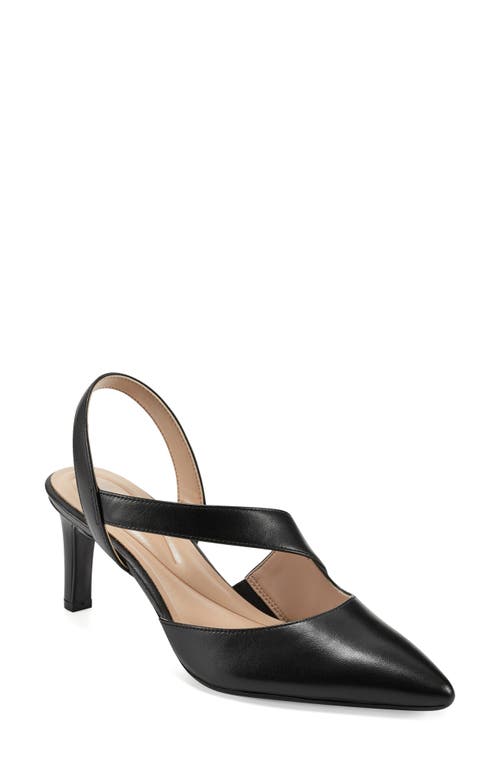 Recruit Slingback Pointed Toe Pump in Black