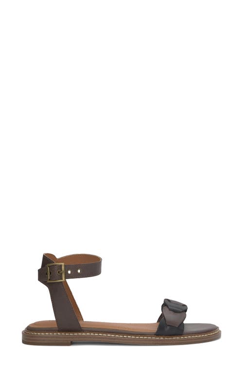 Shop Lucky Brand Kyndall Ankle Strap Sandal In Chocolate/black