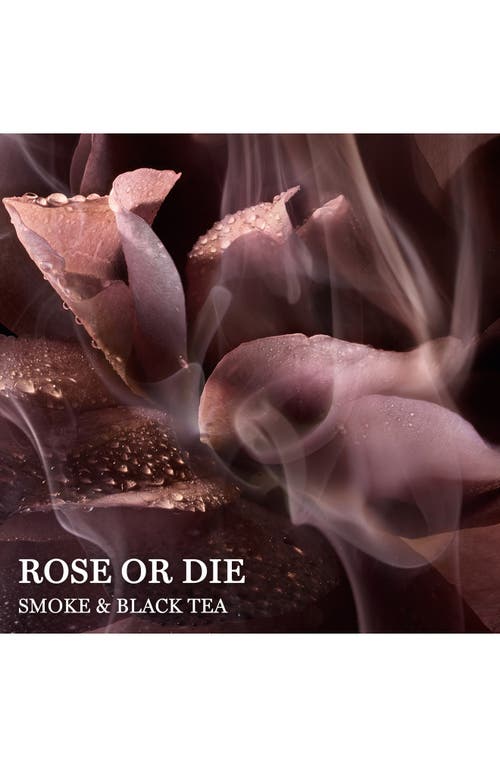 Lancôme Lancome Absolue Rose Or Die Eau De Parfum In No Color
