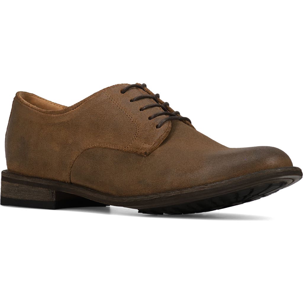 Frye Tyler Flex Derby In Bark