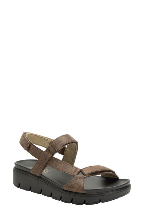 Alegria by PG Lite Henna Sandal at Nordstrom,