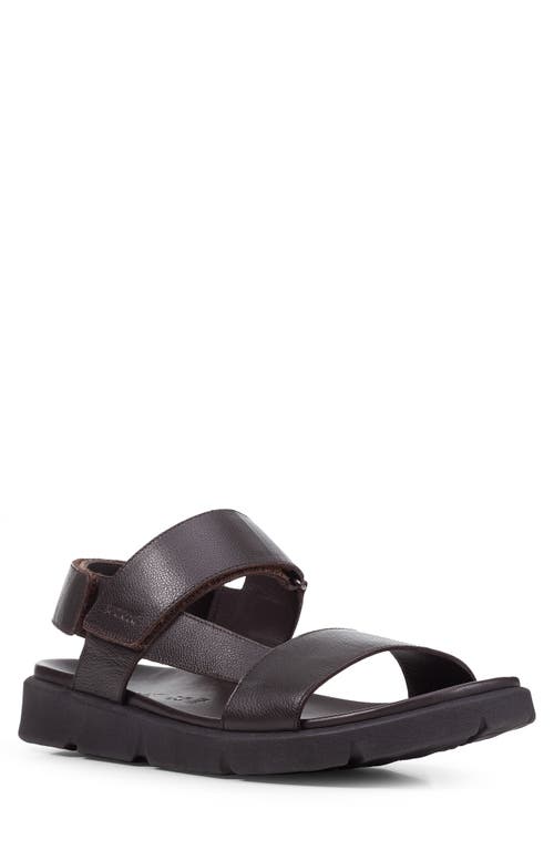 Xand 2s Sandal in Brown Cotto