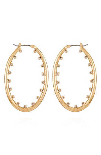 Vince Camuto Studded Hoop Earrings In Gold Tone