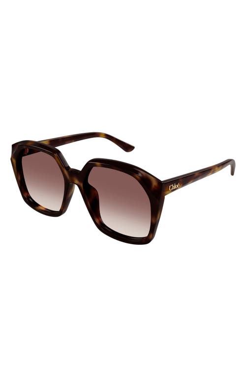 Shop Chloé 57mm Gradient Rectangular Sunglasses In Havana