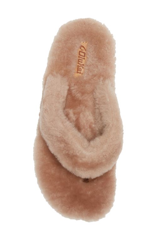 Olukai Kipea Heu Genuine Shearling Slide Sandal In Tan/tan