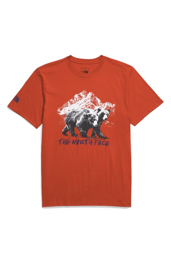 Shop The North Face Bears Graphic T-shirt In Rusted Bronze