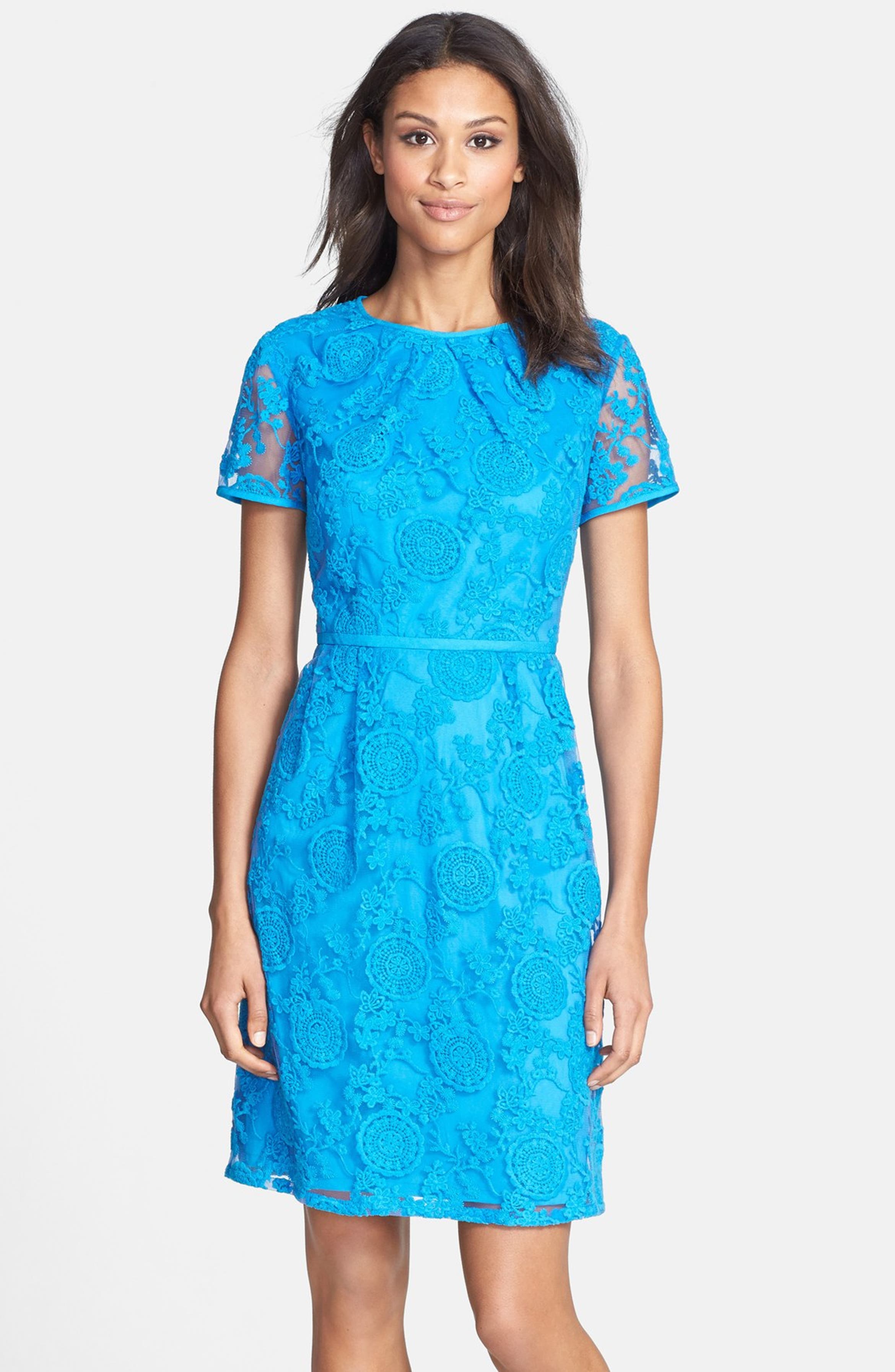 Adrianna Papell Embroidered Lace Dress | Nordstrom