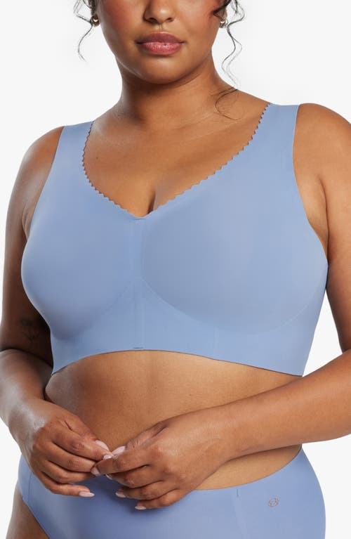 Shop Evelyn & Bobbie The Evelyn Bra In Blue Cloud