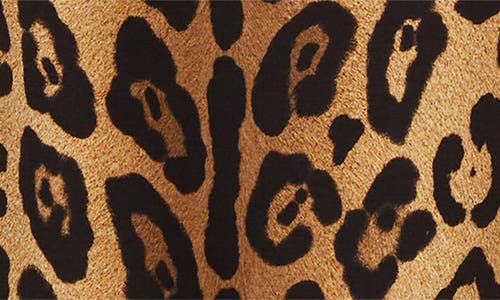 Dolce & Gabbana Short-sleeved Leopard-print Jersey T-shirt In Leopard
