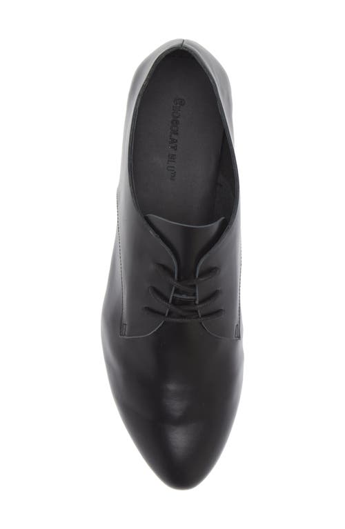 Chocolat Blu Emil Derby In Black Leather