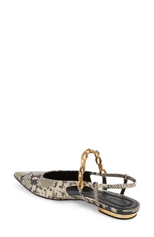 Shop Open Edit Olympia Snakeskin Embossed Slingback Flat In Black-white Snake