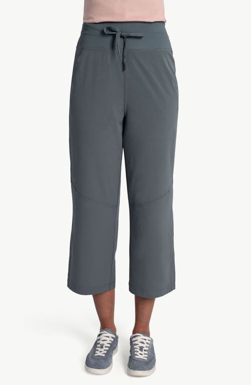 Momentum Crop Drawstring Pants in Ash