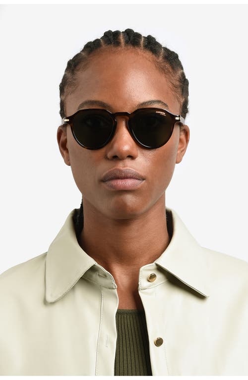 Shop Carrera Eyewear 50mm Round Sunglasses In Havana/green