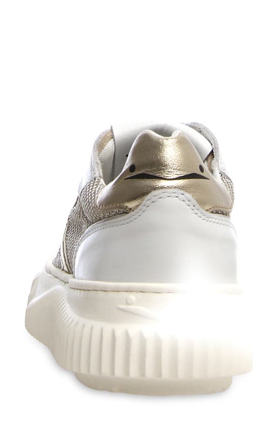 Voile Blanche Lipari Sneaker In Sand White