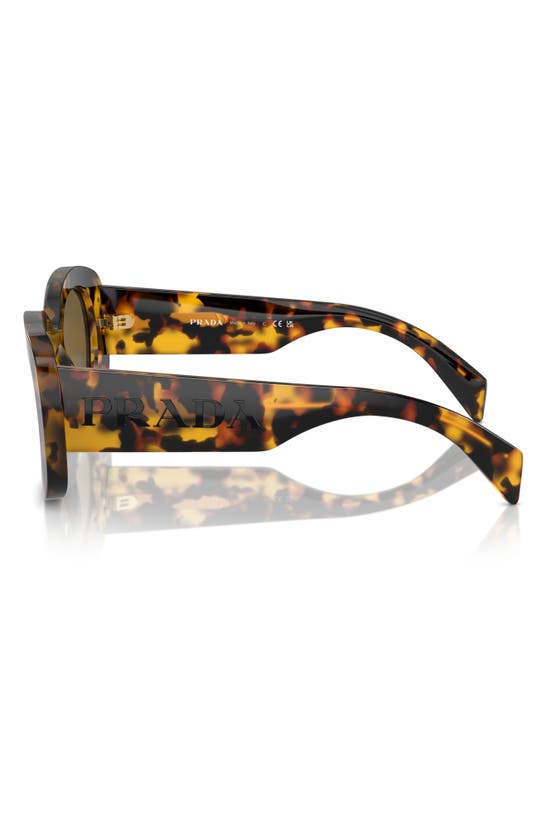 Prada 54mm Oval Polarized Sunglasses In Dark Brown