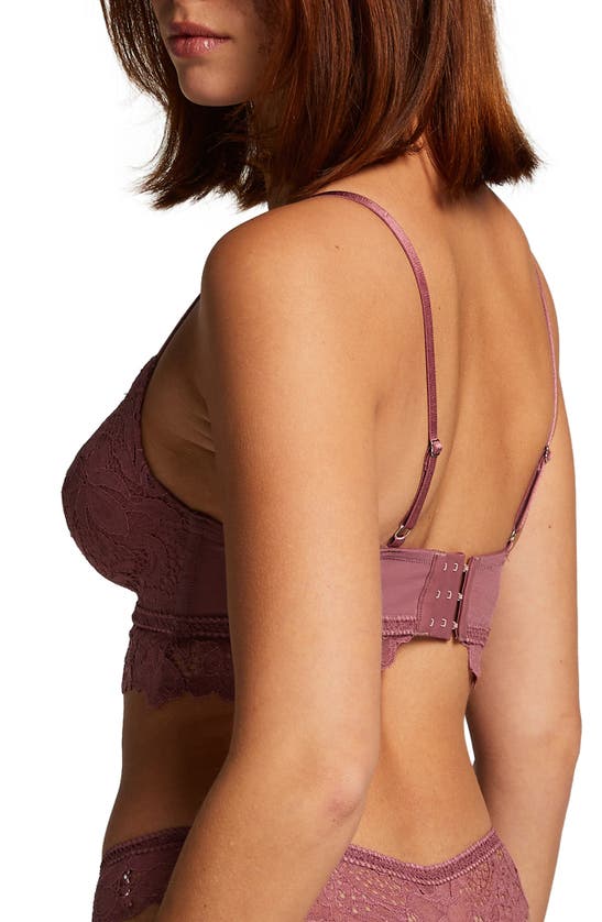 Shop Hunkemoller Shiloh Lace Longline Bra In Wistful Mauve