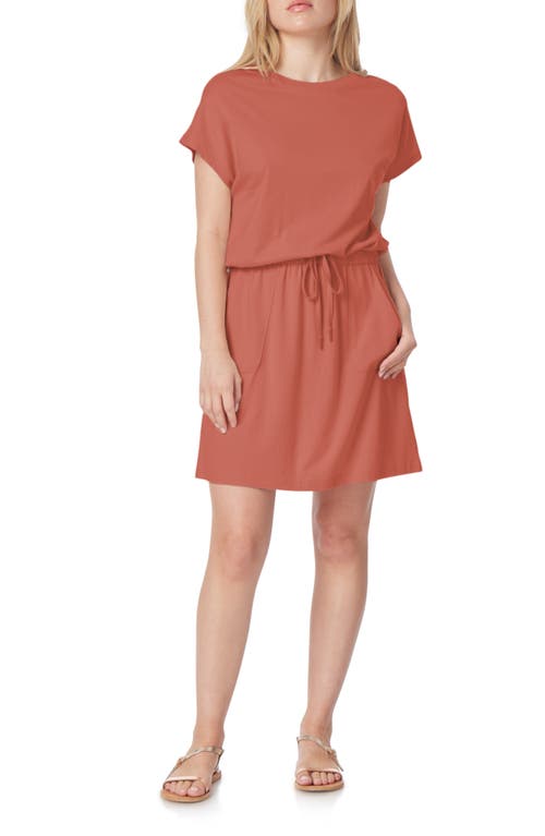 C & C California Barbara Dolman Sleeve Pocket Jersey Dress in Bruchetta