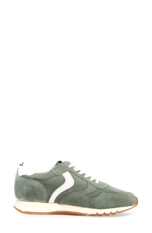 Shop Voile Blanche Julia Sneaker In Sage White