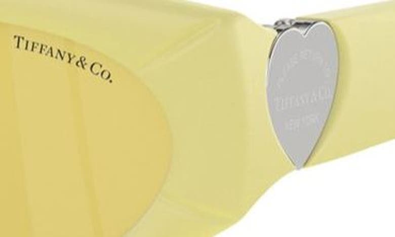 Shop Tiffany & Co . 55mm Oval Sunglasses In Yellow