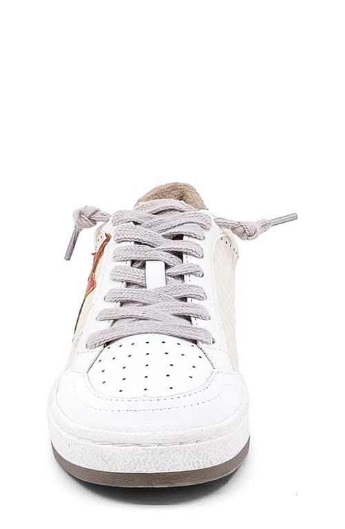 Shop Shushop Kids' Paz Sneaker In White/cherry