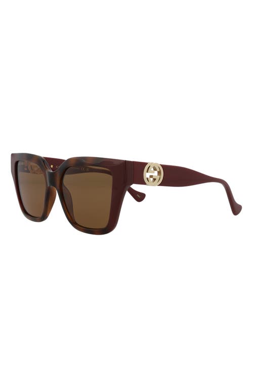 Gucci 54mm Rectangular Sunglasses In Havana Burgundy Brown