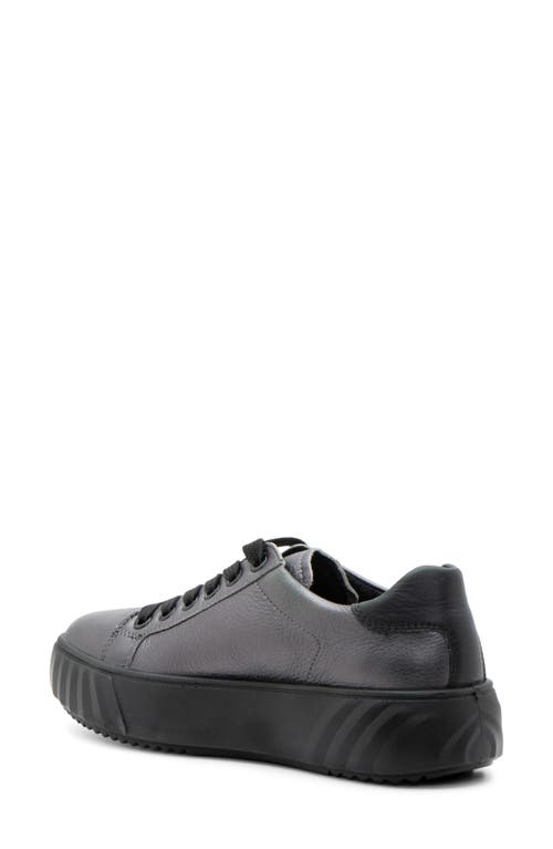 Ara Mikky Platform Sneaker In Anthracite/black