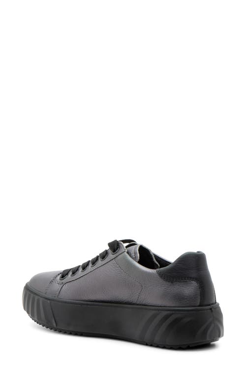 Shop Ara Mikky Platform Sneaker In Anthracite/black