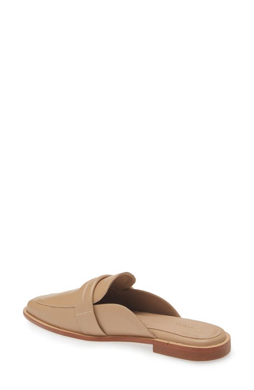 Shop Kaanas Square Toe Mule In Almond