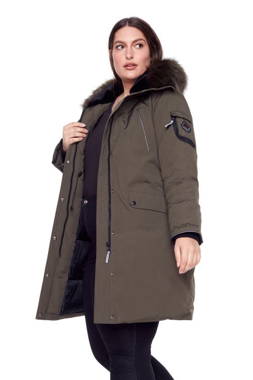 Shop Alpine North Laurentian Plus Size In Olive