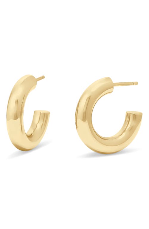 Rina Tube Hoop Earrings in Gold