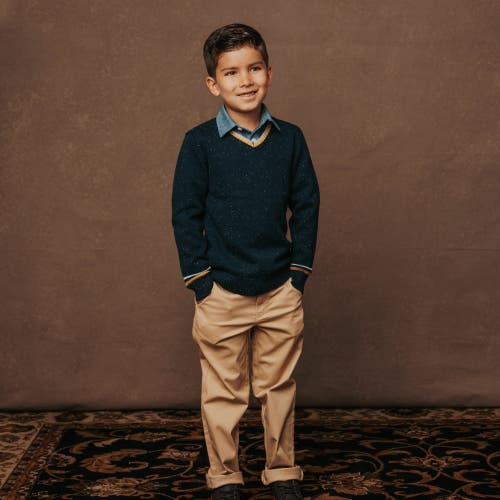Hope & Henry Boys' Organic V-neck Sweater, Kids In Navy Fleck With Tipping