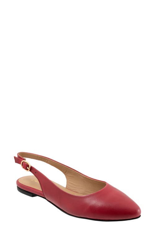 Trotters Evelyn Pointed Toe Slingback Flat In Red