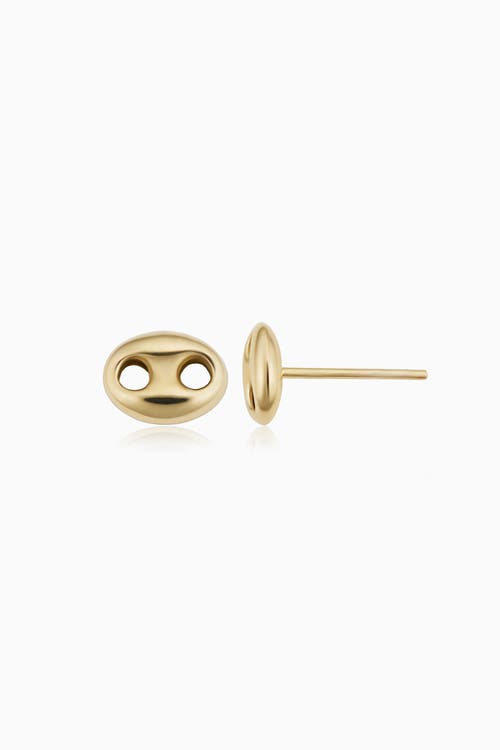 Shop Oradina 14k Yellow Gold Majestic Mariner Studs