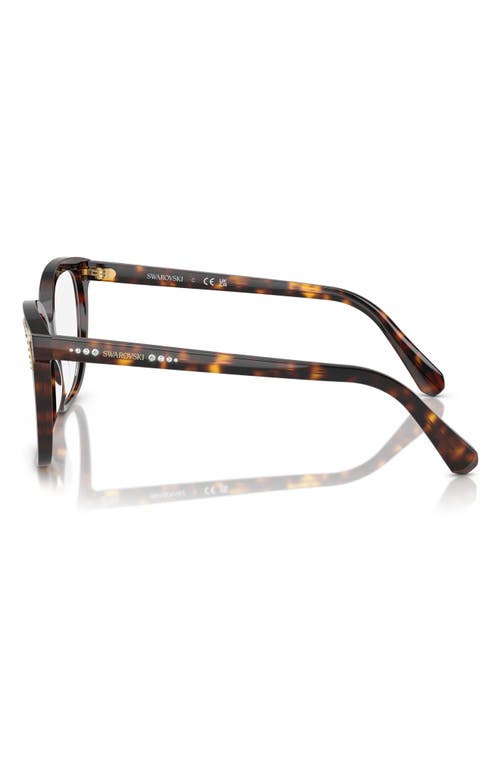 Swarovski 54mm Butterfly Optical Glasses In Havana