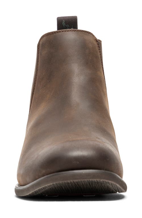 Shop Rodd & Gunn Ealing Chelsea Boot In Chocolate