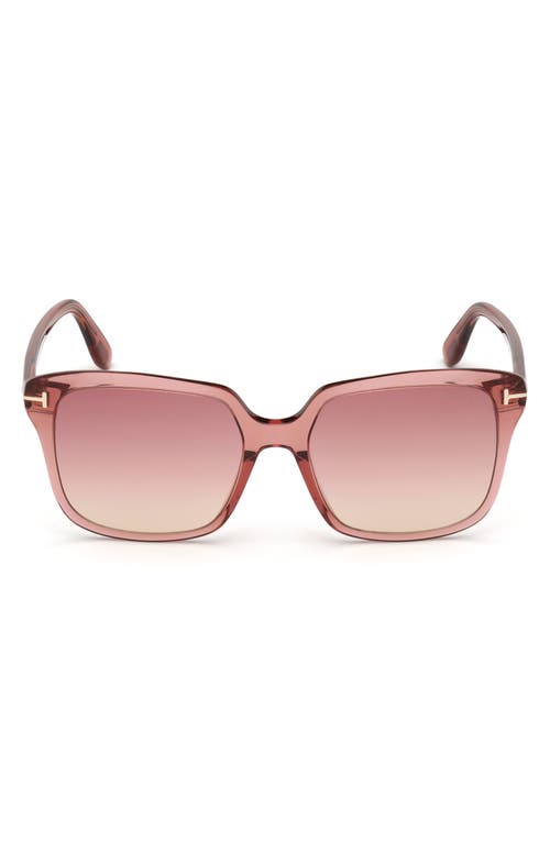 TOM FORD Faye 56mm Gradient Square Sunglasses in Shiny Pink /Bordeaux