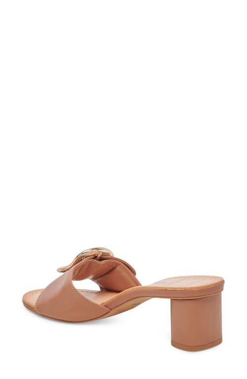 Dolce Vita Laika Slide Sandal In Cider Leather