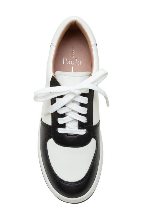 Shop Linea Paolo Krista Sneaker In Eggshell/black