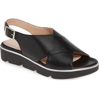 Patricia Green Candace Slingback Wedge Sandal, Black