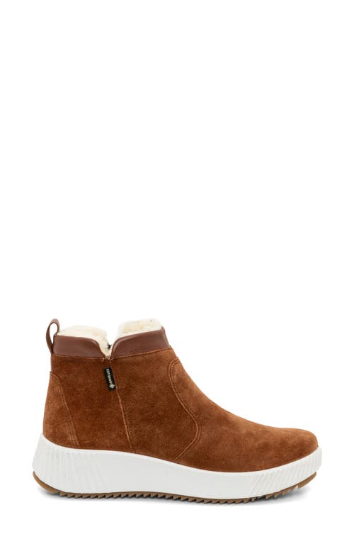 Ara Dahlia Waterproof Faux Fur Lined Sneaker In Brown