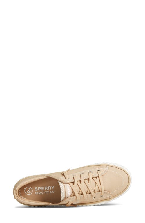 Shop Sperry Top-sider® Pier Wave Platform Sneaker In Beige