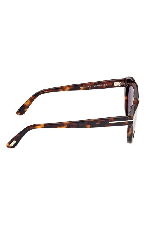 Shop Tom Ford Toni 55mm Oval Sunglasses In Shiny Dark Havana/brown
