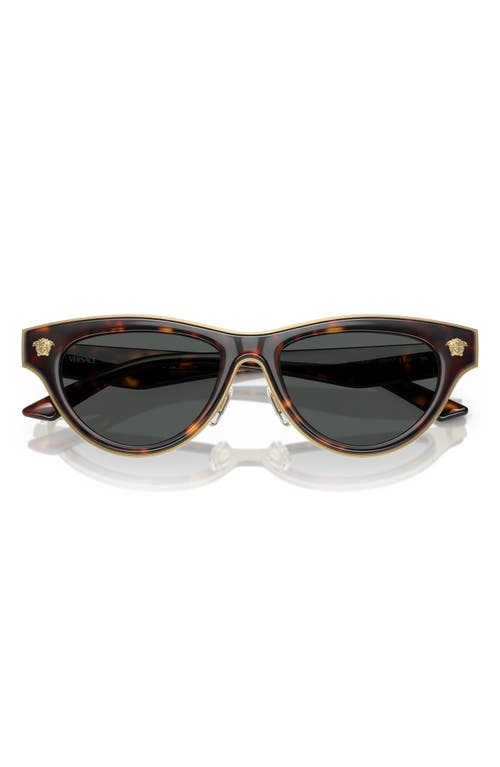 Shop Versace 52mm Cat Eye Sunglasses In Havana