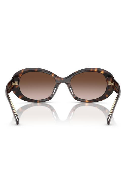 Tory Burch 53mm Gradient Oval Sunglasses In Tortoise