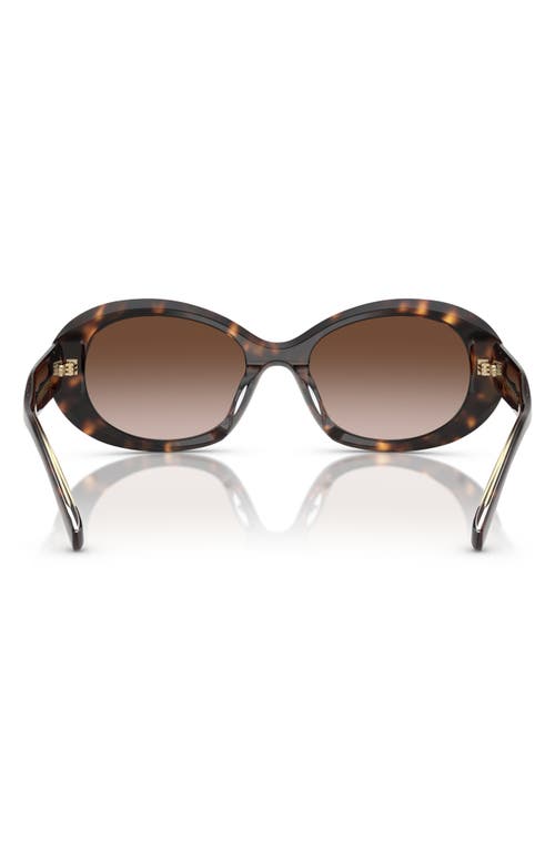 Shop Tory Burch 53mm Gradient Oval Sunglasses In Tortoise