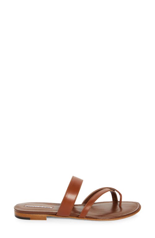 Shop Manolo Blahnik Susa Sandal In Brown