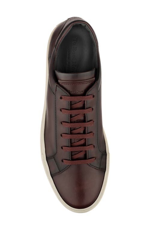 Shop To Boot New York Pescara Sneaker In Bordo