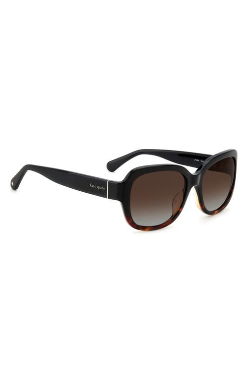 Kate Spade New York Laynes 55mm Gradient Sunglasses In Black Havana/brown Polar